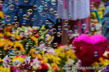 Southport victim impact statements in full as families recall how Axel Rudakubana shattered their lives