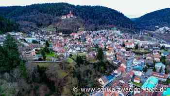 Finanzen in Bad Liebenzell: Das Geld für das Bürger-Rufauto bleibt  im Haushalt