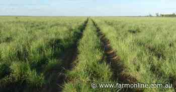 Outstanding grassed-up, well-watered south west Queensland grazing country