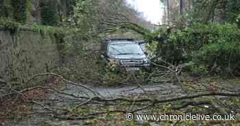 How Storm Eowyn wind speeds compare to Storm Arwen which brought chaos to the North East