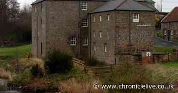 The Northumberland corn mill advertising an 'unusual' role with salary up to £34k