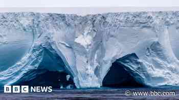 Giant iceberg on crash course with island, putting penguins and seals in danger