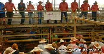 The window of good cattle buying that won't come around again for years