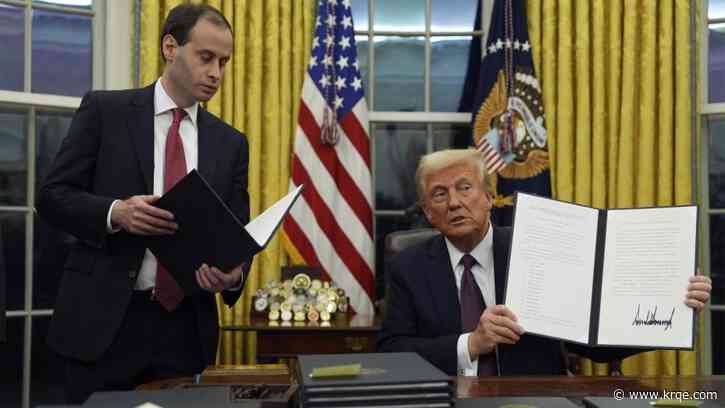 Court temporarily blocks Trump order on birthright citizenship