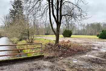 Hondenschool gesloopt en werken aan Slagmolen gestart: “In functie van natuur”