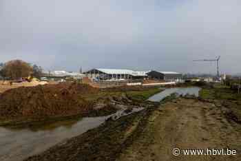Audit Vlaanderen: “Onregelmatigheden en mogelijke belangenvermenging in dossier Sportpark Hoeselt”