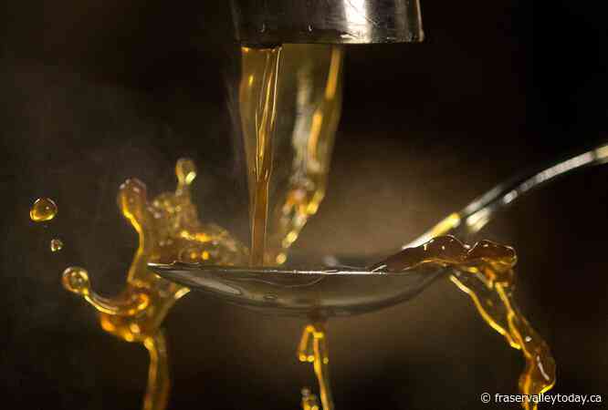 Quebec maple syrup producers fear ‘major consequences’ if Trump tariffs go ahead