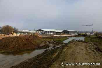 Audit Vlaanderen: “Onregelmatigheden en mogelijke belangenvermenging in dossier Sportpark Hoeselt”