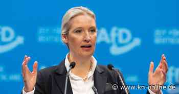 AfD-Chefin Weidel: Ofner Brief an Merz wegen Asyl-Deal