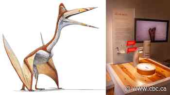 Cretaceous period discovery gives insight into prehistoric life in Alberta