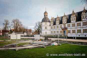 Warum zahlt die AfD im Schloss keine Miete?