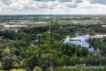 GroenRand waarschuwt: “Zonder structurele budgetten voor natuurherstel is toekomst Groot en Klein Schietveld in gevaar”