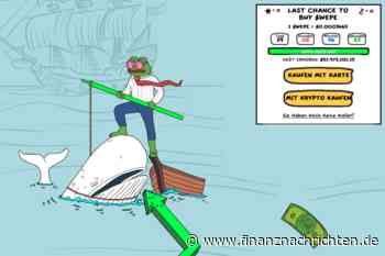 TRUMP Token: Großinvestoren dominieren den Markt des Meme-Coins