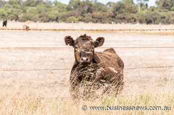 PGA WA takes ‘pause’ after misconduct