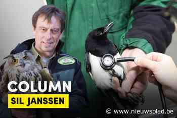 Column. Ekster is Vogel van het Jaar