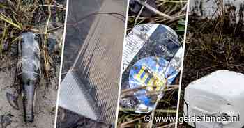 Afval langs Waal onthult probleem: ‘Lang niet alles stroomt naar de zee’