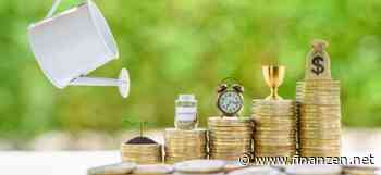 Anlagekompass 2025: Festgeld, Tagesgeld oder ETF?