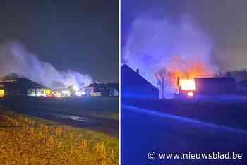 Oude stal in lichterlaaie: “Het brandde vrij hevig”
