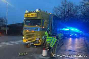 Automobiliste lichtgewond na aanrijding met vrachtwagen