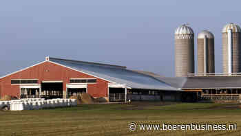 Trump riskeert schade voor melkveehouderij in VS