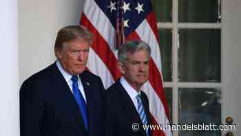 Geldpolitik: „Ich kenne die Zinsen deutlich besser“: Trump drängt Fed zu schnellerer Zinssenkung