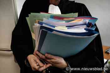 “Ik heb maar 10 seconden gekeken”: medewerkster van parket zelf voor de rechter omdat ze in het strafregister keek