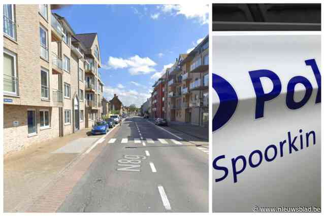 Dolleman (43) bekogelt politie en plast vanop balkon op combi: “Ze hadden zijn verjaardagsfeestje verpest door de stroom af te sluiten”