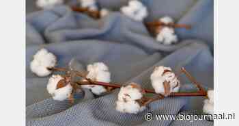 OEKO-TEX 'Organic Cotton': meer transparantie door nieuwe regelgeving 2025