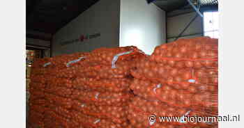 "Frisse moed voor tweede seizoenshelft Nederlandse uienexport"