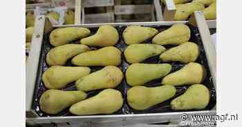 Zonnebloemolie voor de bewaring van hardfruit