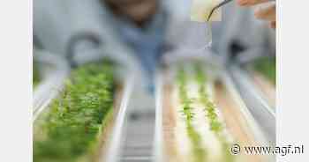 Biotechnologische innovaties op Macfrut