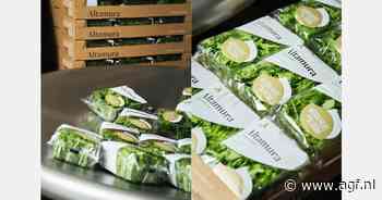 "Naar Berlijn met baby leaf op de pizza"