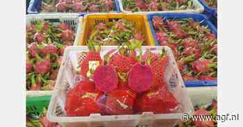 "We hopen op groter marktaandeel in de EU"