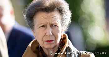 Princess Anne 'remembers nothing' about accident and is 'very lucky'