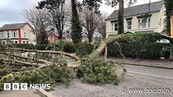 How to protect your home before, during and after a storm