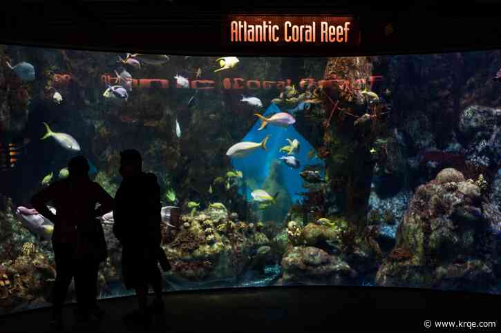 What's happening around New Mexico January 24-30