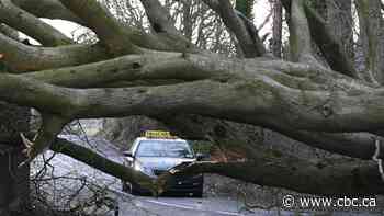 Storm Éowyn cancels flights, events in U.K., brings record winds to Ireland