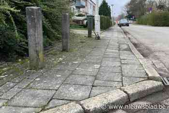 Kortenberg zoekt wandelaars om voetpaden te beoordelen “in het belang van iedereen”