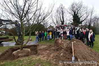 Stad en schoolkinderen openen nieuwe speelzone en hondenweide in Keerstraat