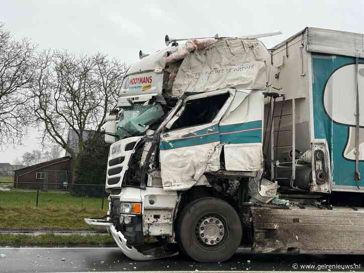 Ravage na frontale aanrijding tussen twee vrachtwagens