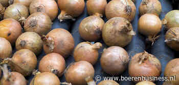 Uienkopers zijn voorzichtig met positie opbouwen