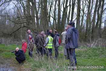 Loeren naar vogels en natuur bij Natuurpunt De Buizerd
