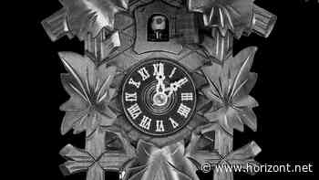 "Alles lässt sich ändern": Dieser Werbespot soll die FDP vor einem Wahldebakel bewahren