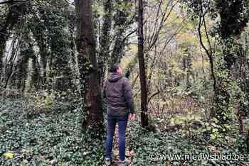 Actiecomité Red het speelbos haalt slag thuis: Raad van State vernietigt RUP Aldi-site