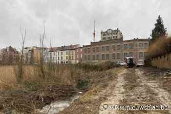 Bulldozers vernielen natuur in Biestebroekmoeras: “Diersoorten in gevaar”