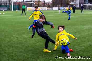 Jeugdwerking Schelle Sport behaalt vier sterren: “Slechts vijftiental Vlaamse amateurclubs bezitten dit label”
