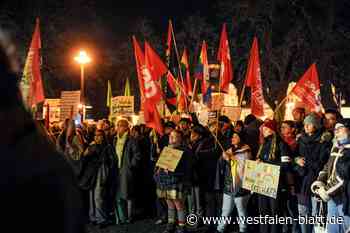 AfD im Schloss, hunderte Demonstranten davor