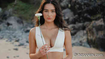 Mastering Lightroom: Basic Adjustments and Tone Curve Explained