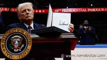 Rechter blokkeert Trumps 'ongrondwettelijke' bevel tot beperking geboorterecht