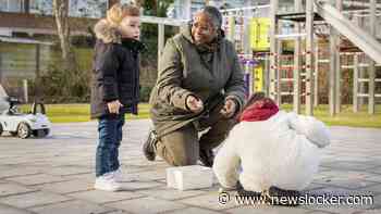 Tweede Kamer wil 'met spoed' advies over pensioenplan van NSC